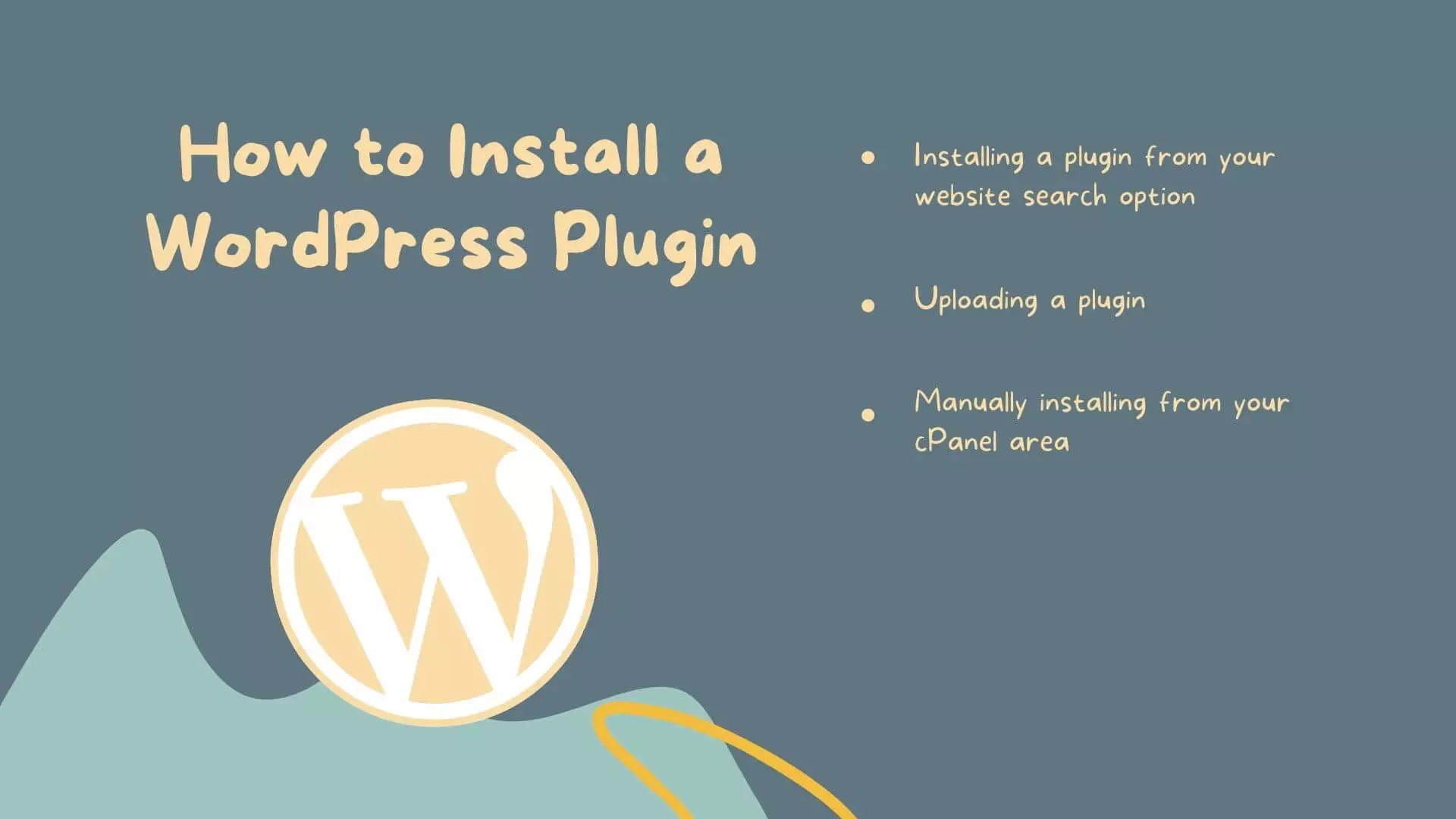 wordpress plugin