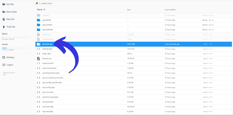 Download Backup Zip Files