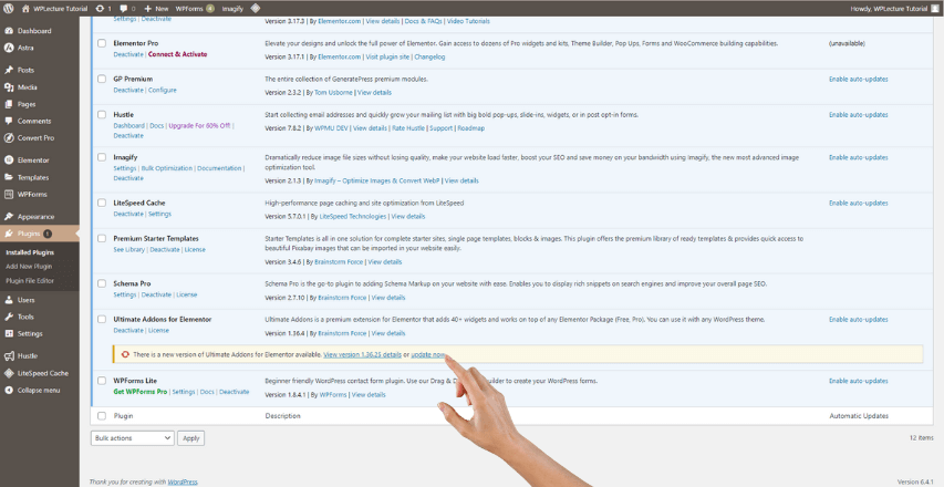 How to update WordPress Plugin