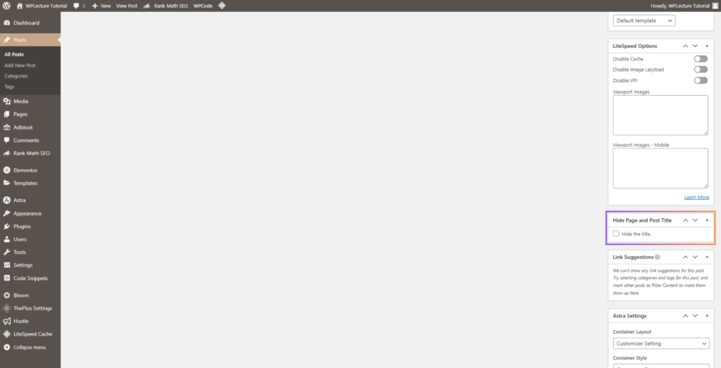 Hide Page and Post Title With Plugin