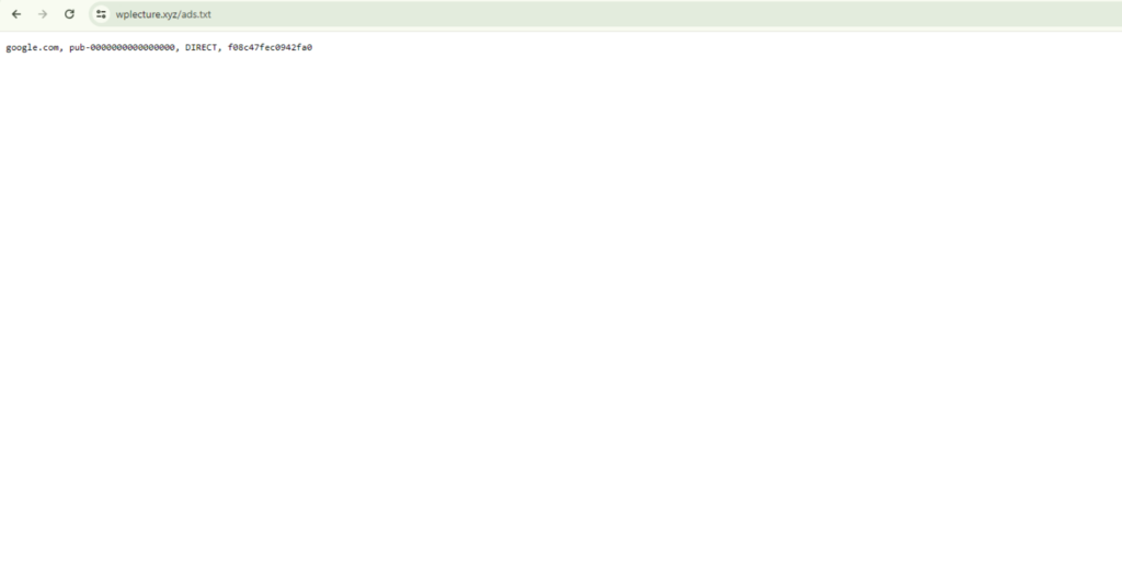 How to Verify Ads.txt File