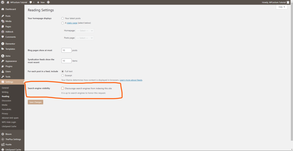 Search Engine Visibility